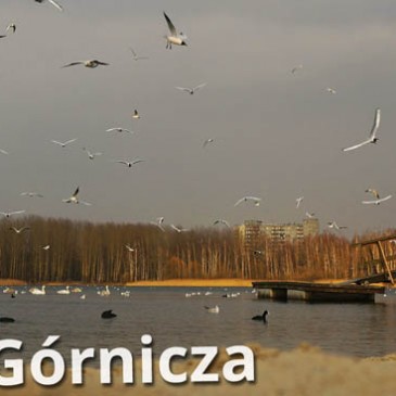 Dąbrowa Górnicza 2016